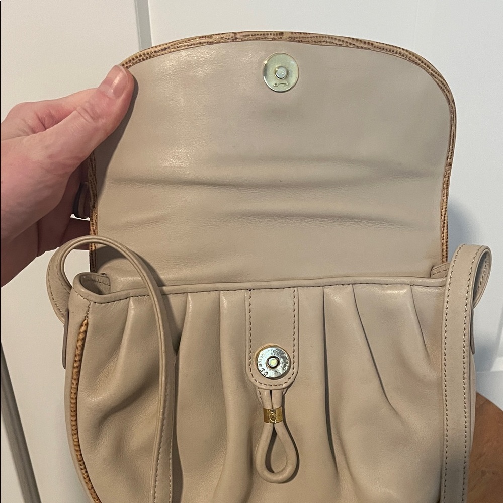 Celine Beige Crossbody Shoulder Bag with Gold Accent - Picture 7 of 12